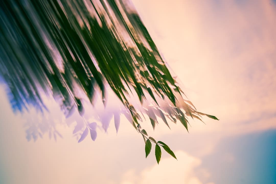水灵灵的好女人是什么梗